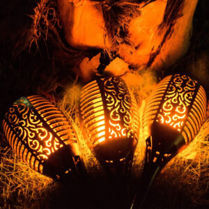 feb0102a bea4 47be b180 380a6d20ad2e.jpg